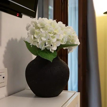 Daire Dea Fortuna Loft